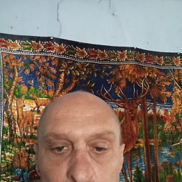 , 50, 