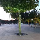 ���� ������, ���������, 40 ��� - ��������� 24 ������ 2024 � ������ ���� ����������