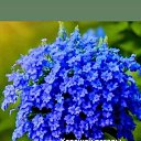 ���� ����, ��������, 68 ��� - ��������� 30 �������� 2024 � ������ ���� ����������