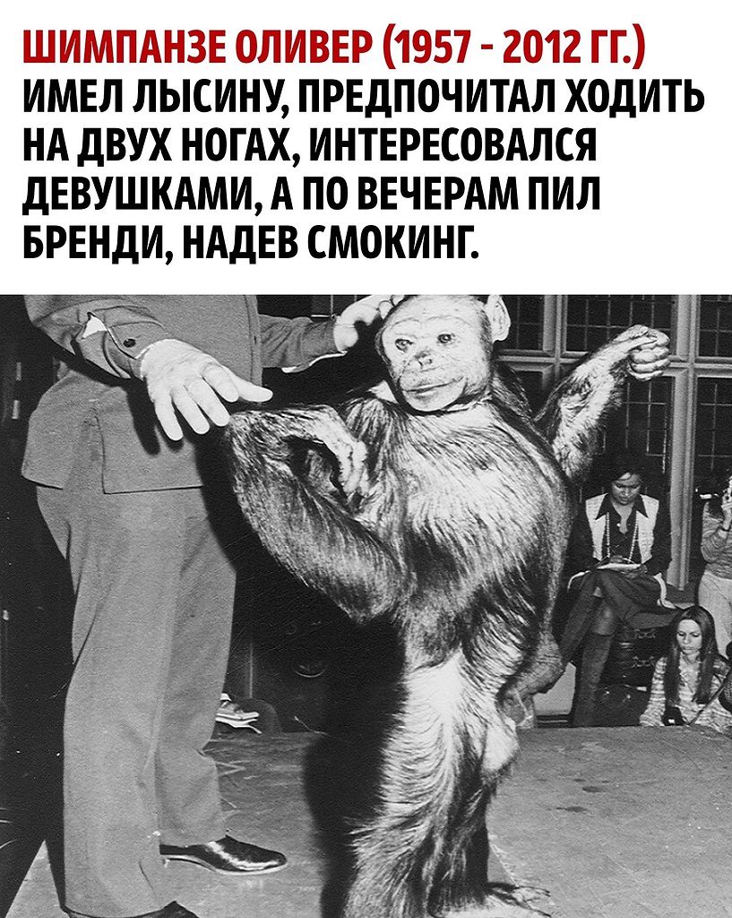 ������ - ��������� ������� ��������������!