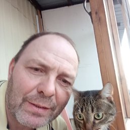  , 55 , 
