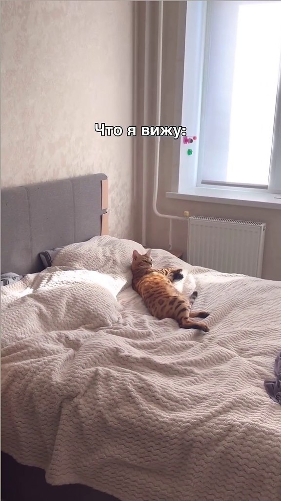 ��, �����... - 2