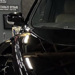 �����, ������, 43 ����