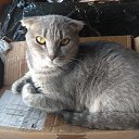 ���� �������, �����, 48 ��� - ��������� 30 ������� 2025 � ������ ������ ��������