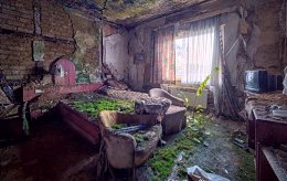 �����������