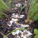 ���� ������, ������, 74 ���� - ��������� 18 ������� 2025 � ������ �������