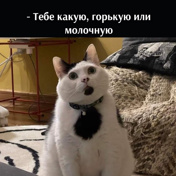 ������� ������ ���� �������� ��� ���������) - 4