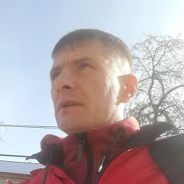 �����, ���������, 41 ���