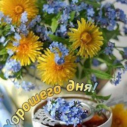 ��������, ���������, 37 ���