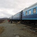 ���� ������, �������, 33 ���� - ��������� 10 ������� 2023 � ������ ������ �������� �������