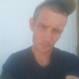 ����, ����, 41 ���