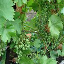 ���� �����, �������� - ��������� 26 ���� 2025 � ������ ������� 2025�