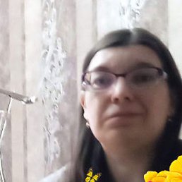 , , 41 