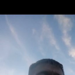 , 43, 