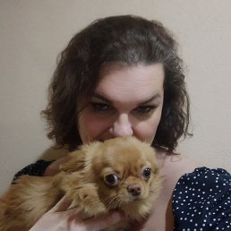 ���� ����, �����-���������, 49 ��� - ��������� 2 ������ 2024