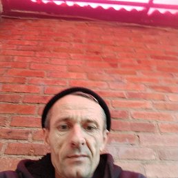 �����, 44 ����, ���������