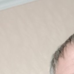 ��������, ���������, 49 ���