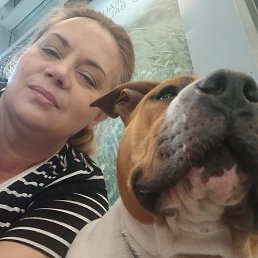 ���� ��������, ������, 56 ��� - ��������� 20 ����� 2026