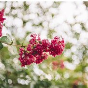 �����, 24 ����, ���������