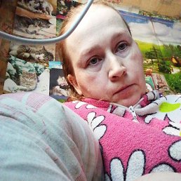 �����, 33 ����, ������