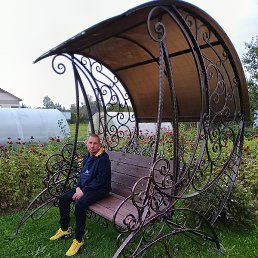 ����, �������, 41 ���