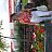 ���� Valjusha, ���� - ��������� 7 ��� 2026