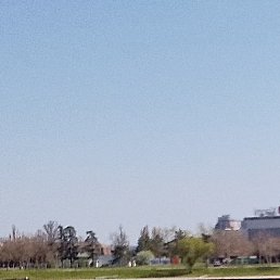 ����, �������, 42 ����