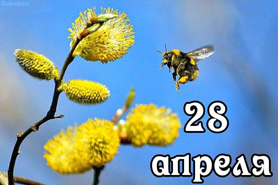 �������: ������, ��������, ������, �������, ������, ������, ����, ��������, ������, ���������, �����