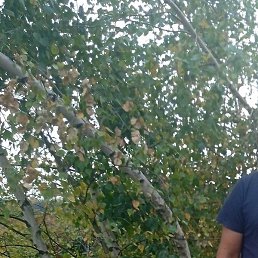 ����, ������, 52 ����