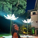 ���� Lizz, ������ - ��������� 13 ���� 2025 � ������ ���� ����������