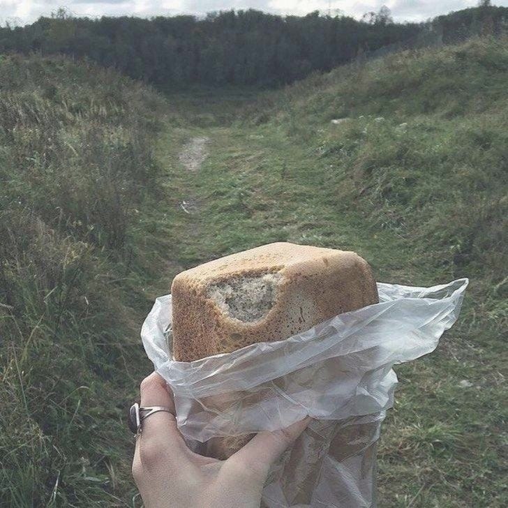   .      ,    ,  ... - 5