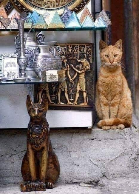 Копия и оригинал