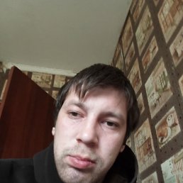 , 26, 