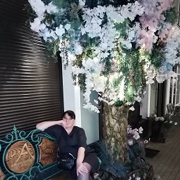 ��������, 44 ����, �����������