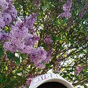 ���� �������, �����������, 40 ��� - ��������� 25 ���� 2024 � ������ ���� ����������