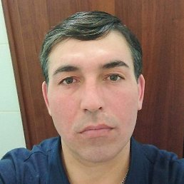 �������, ���, 43 ����