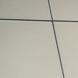 ������, ��������, 47 ���