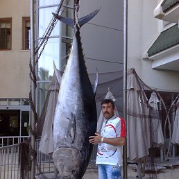  Vitaly, , 56  -  15  2025