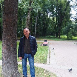 ��������, 56 ���, �����������