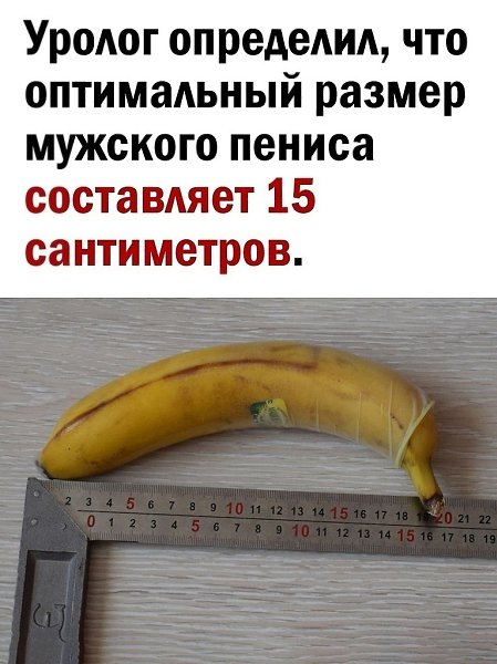 ��������, � ����� ������� ��� ��� 15.������