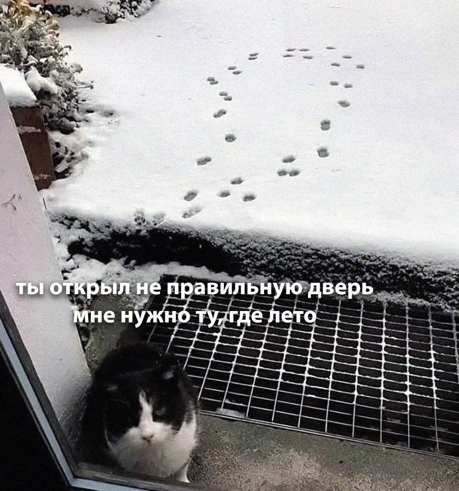    - 9  2025  12:41