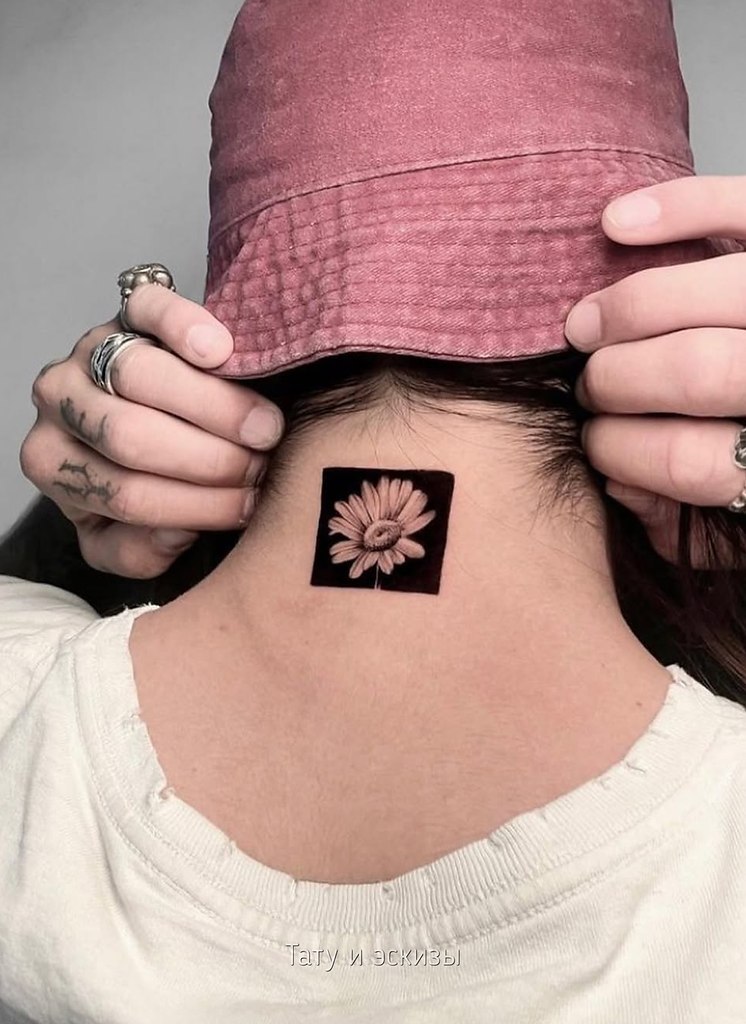 ������� � ��� ��������, ��������� � ���������� ������. ׸���� ������� ������ � �������, ����������� ...