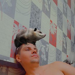 , 34, 