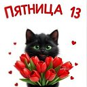 ���� �������, ���������� - ��������� 13 ����� 2026 � ������ ������ ��������