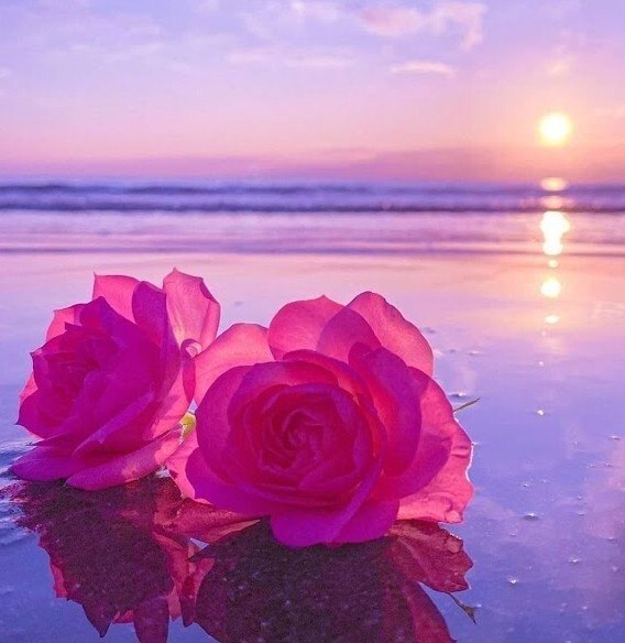 ���� ���� ����� ������� ���� ������, �� ����� ������� ������� � ������ ����� �� �� ����, ������ �� ...