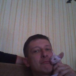 ���������, 50 ���, �����������