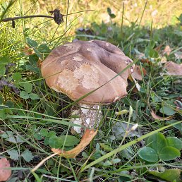 ���� ������� ���������, ������ �����, 46 ��� - ��������� 20 �������� 2025