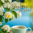���� ***Victoria Viktorovna***, �������, 50 ��� - ��������� 4 ��� 2026 � ������ ������ ��������