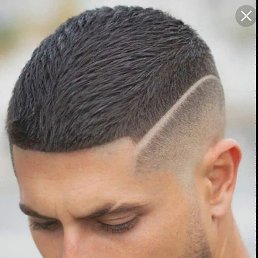 �����, ������ ��������, 40 ���