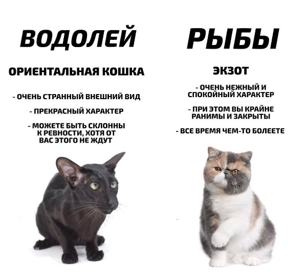       - 10